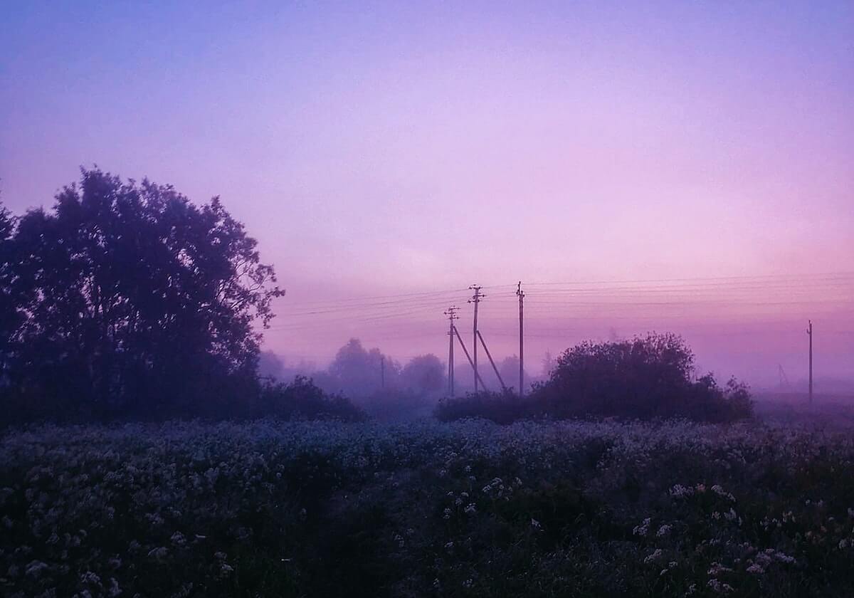 爱游戏官网-佩雷拉与浩克决裂后找回自我 如今的上港才叫团队